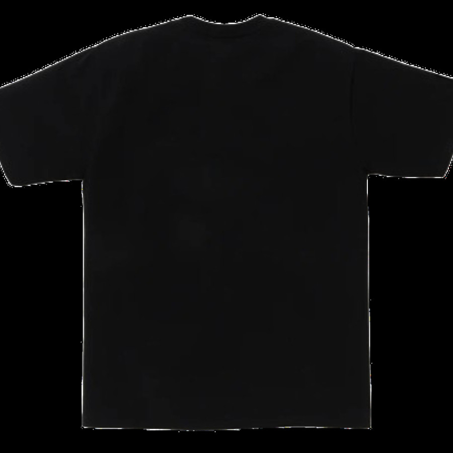 베이프 온라인 한정 베이프 닷컴 칼리지 베이펙스 반팔티 2컬러 1L25110007