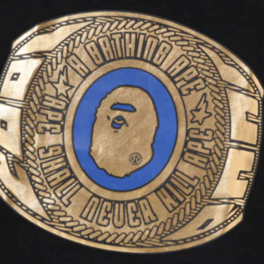 베이프 온라인 한정 포일 칼리지 링 베이펙스 반팔티 블랙 1L25110001